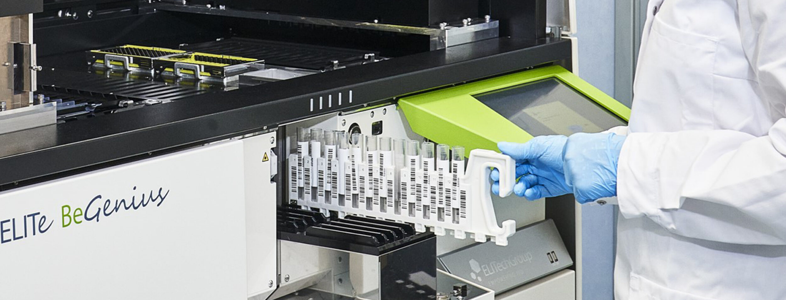 Creating a global leader in targeted segments of the in vitro diagnostics industry, with particular focus on molecular diagnostics