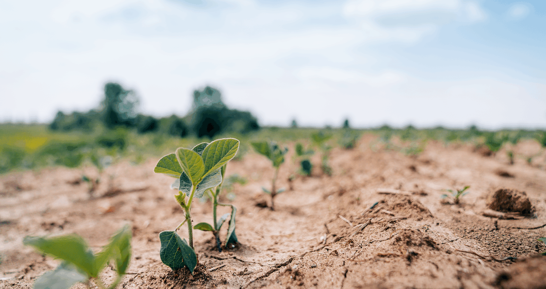 ESG and sustainability is at the forefront of our thinking